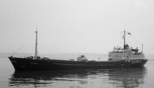 Gavion por F Estrañi Gavion por F Estrañi